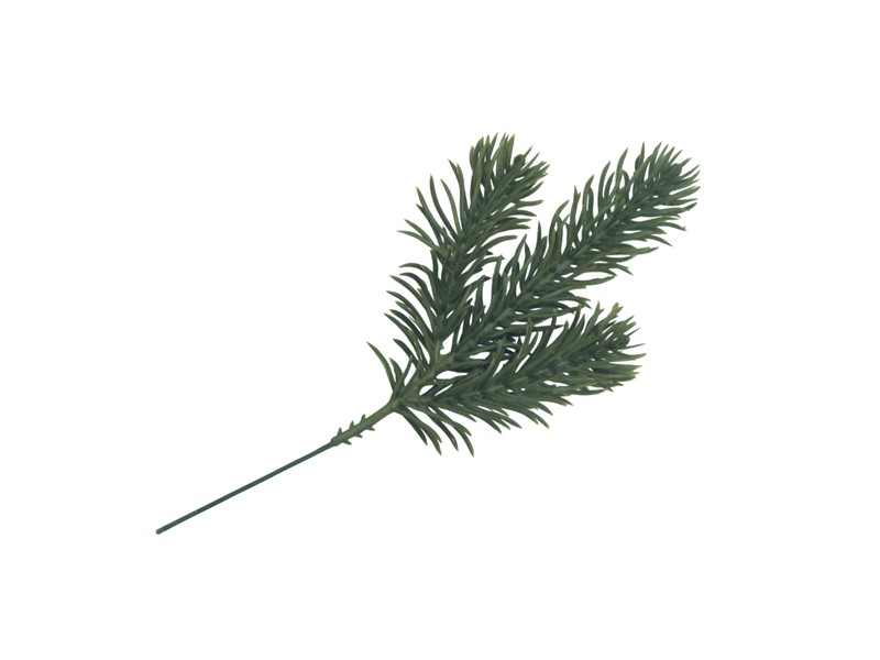 Κλαδί Έλατο 18εκ