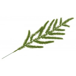 Κλαδί  Έλατο 33εκ